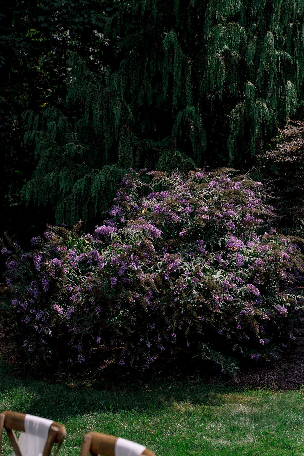 Philadelphia-Wedding-Photographer (3)