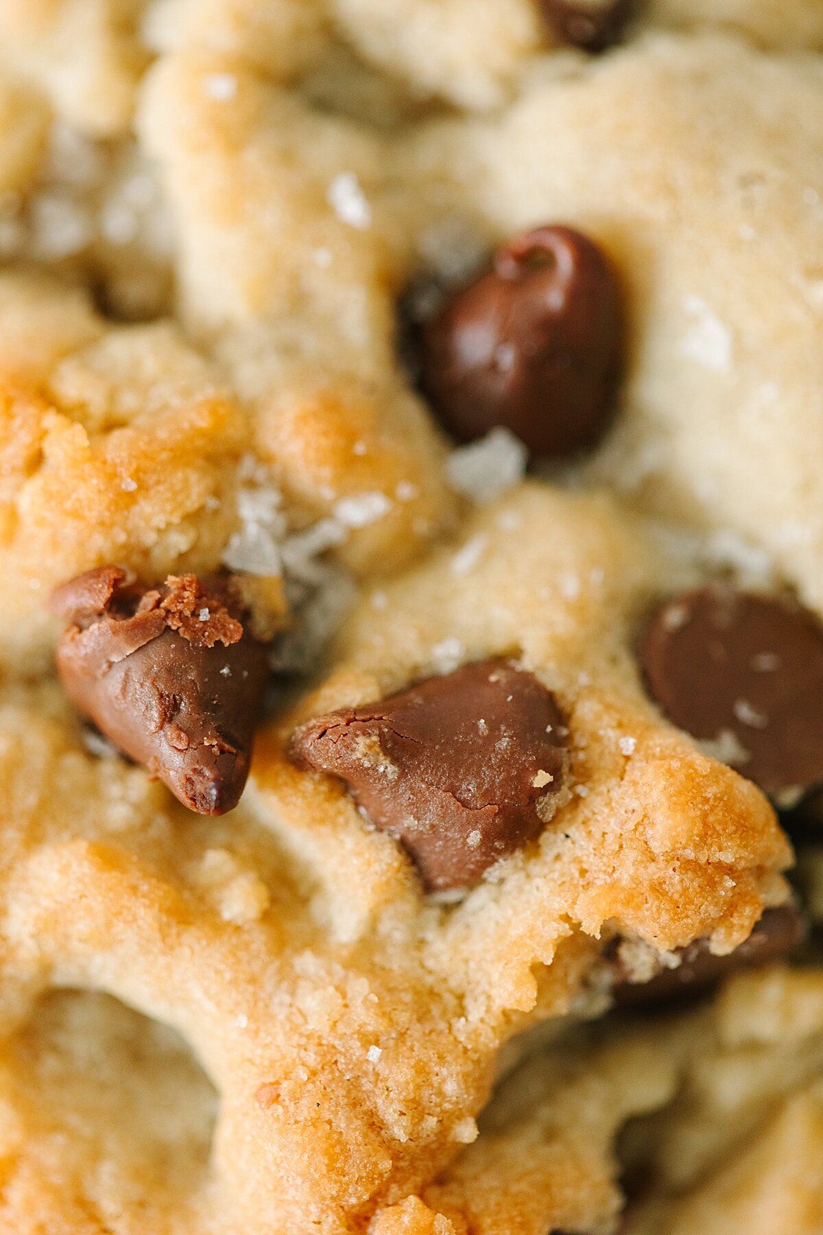 CassidyOlivares_SherrWeddings-0222