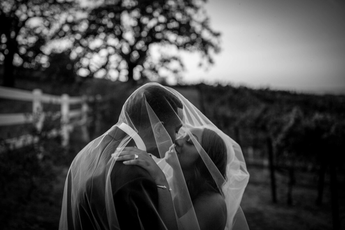 San-Francisco-Bay-Area-Weding-Photographer-Frank-J-Lee-Photography-BK.---23