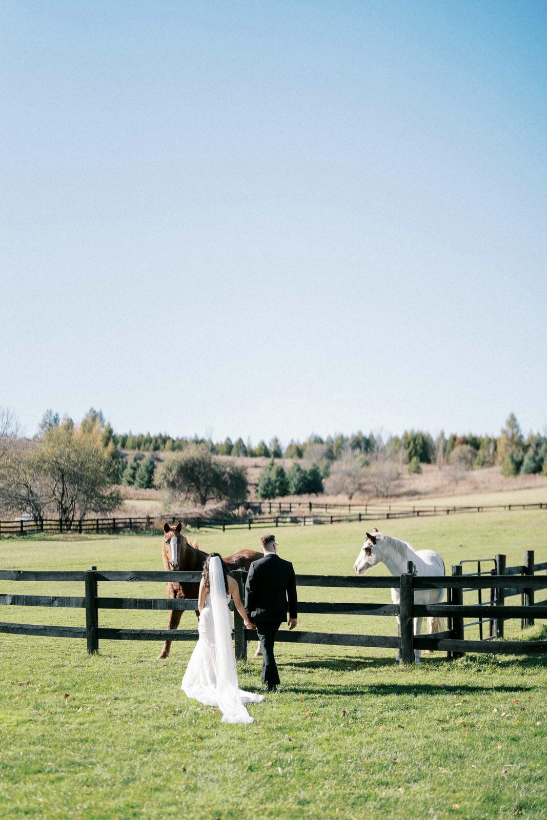W11-Wedding-Photos-Caledon-Valley-Estate-Eleanor-and-Michael-2024-11-02-2500px-1099