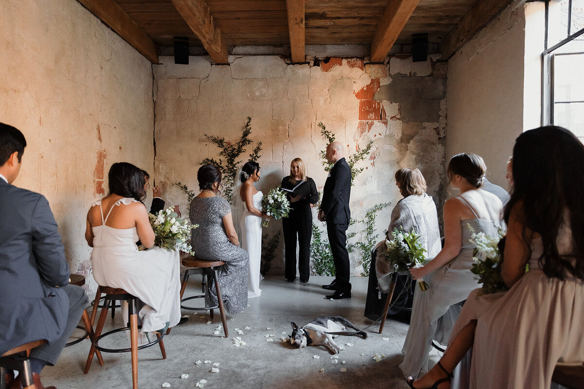 guests watch the ceremony, couples dog is passed out asleep in the aisle