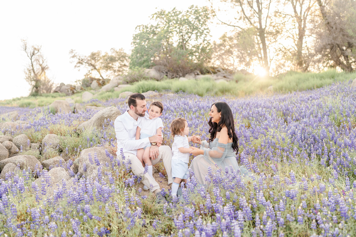 A family of four sits in a field of lupines while laughing and smiling together wearing shades of grey and white photographed by bay area photographer, Light Livin Photography.