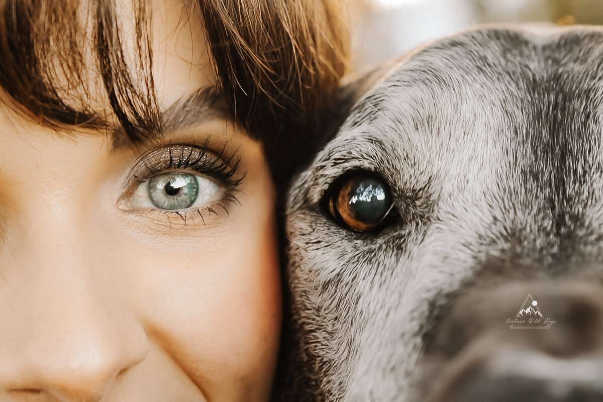 eye human and dog