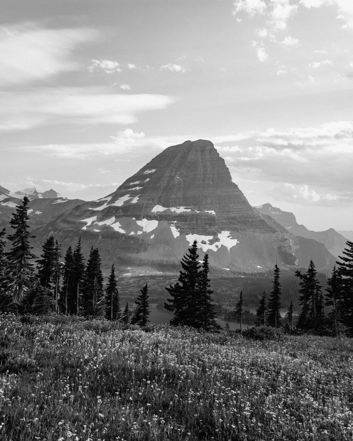 bearhat_mountain_glacier_national_park