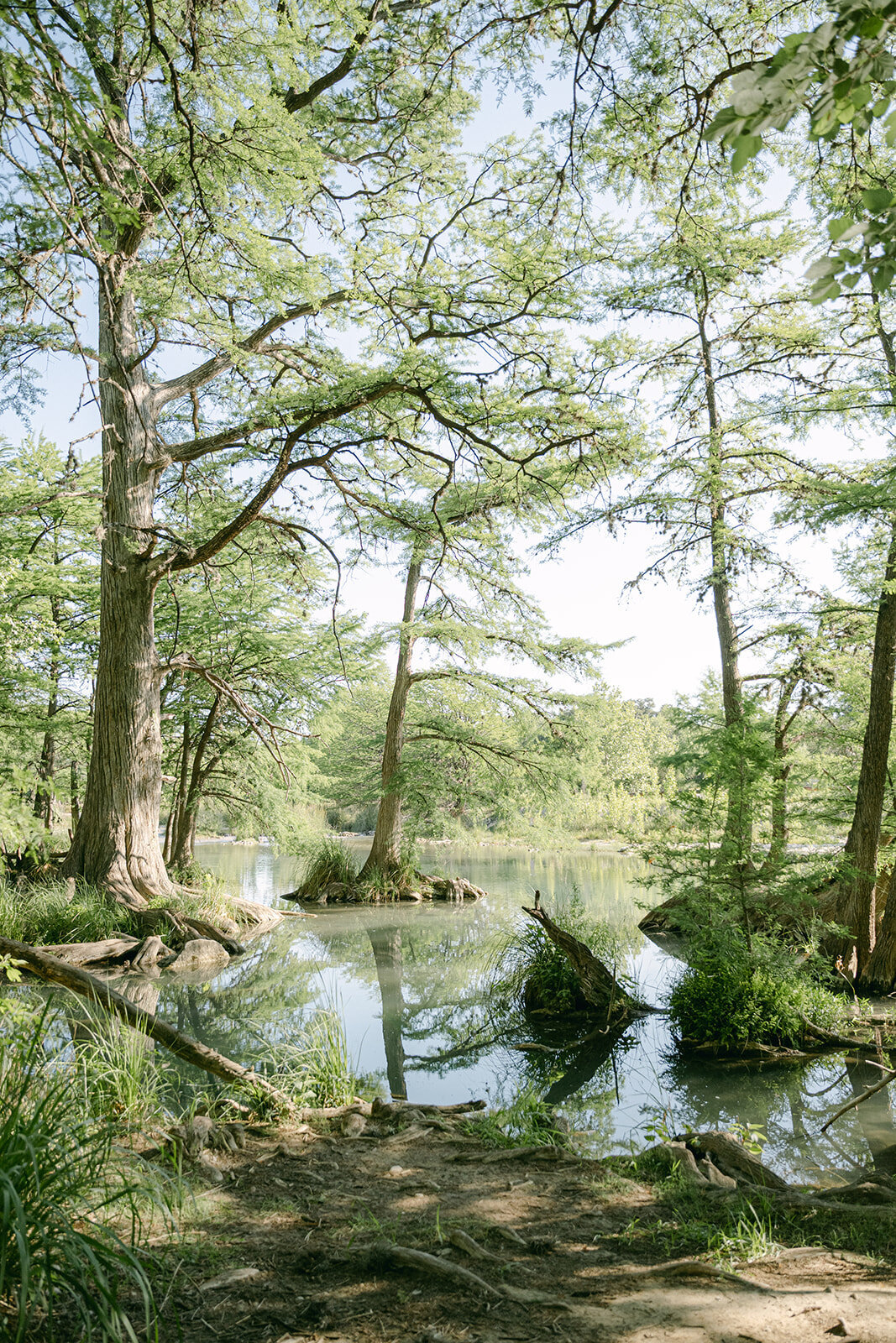 Luxury_Wedding_Photographer_Texas_Erin_Marcin_Photography_Film-48