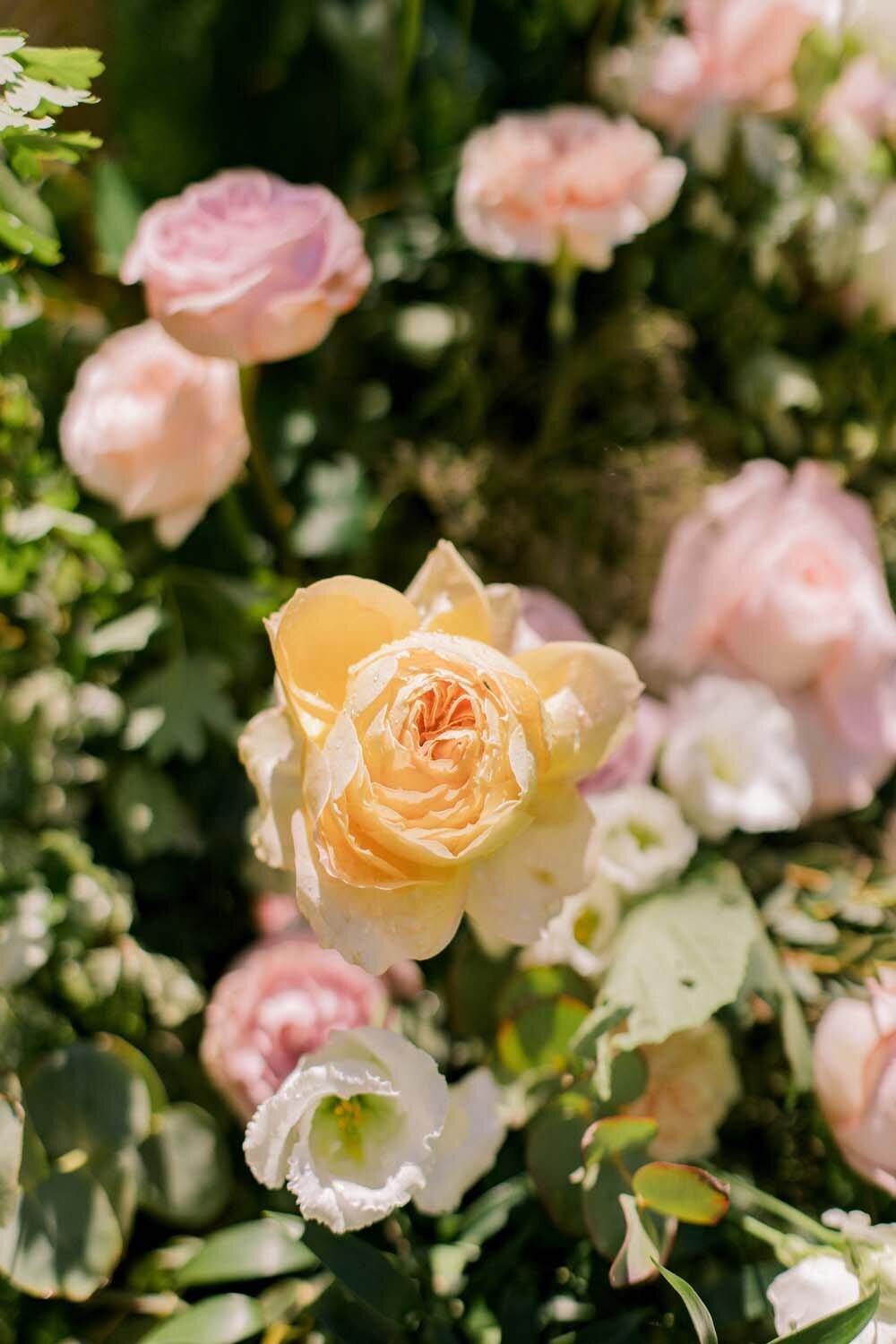 Alexandra & John romantic blush and lavender wedding by the Annecy Lake - Veronique Lorre floral designer - The Komans photography37