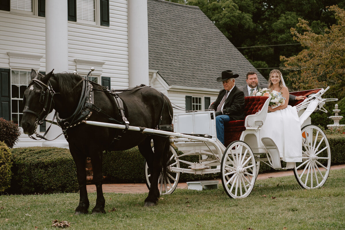 carriage ride