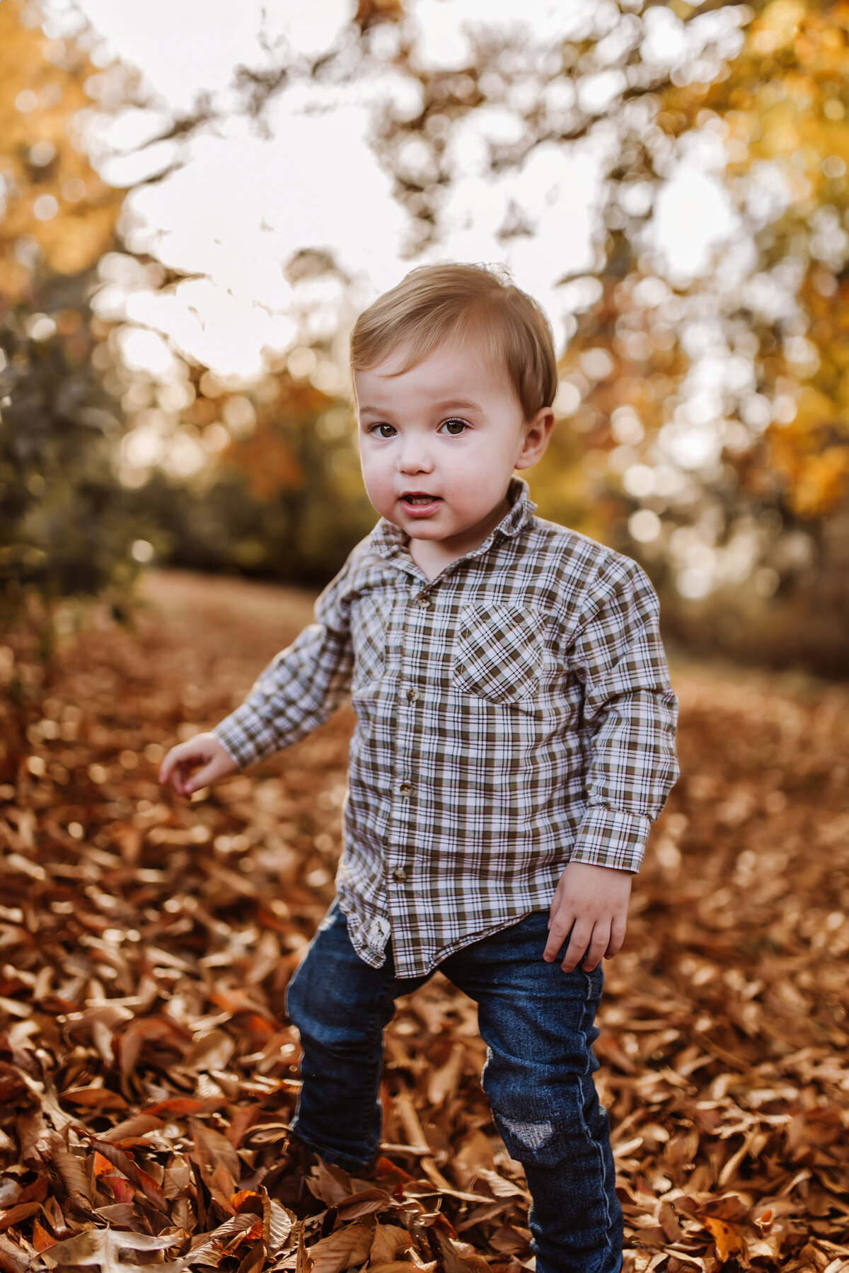 knoxville-family-photographer010