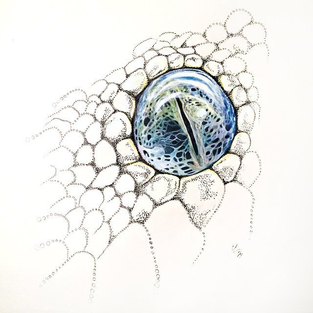 CCC_chaos theory_reptilia