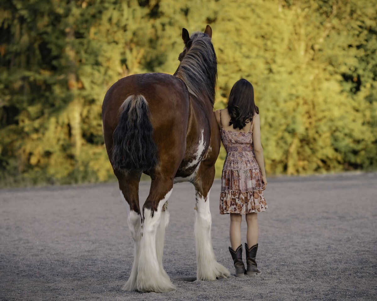 seattle-equine-photoghrapher-5