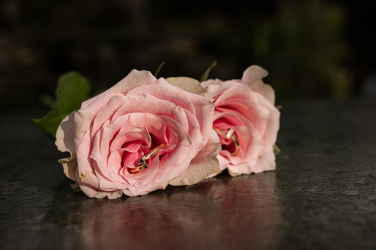 DSC_4939