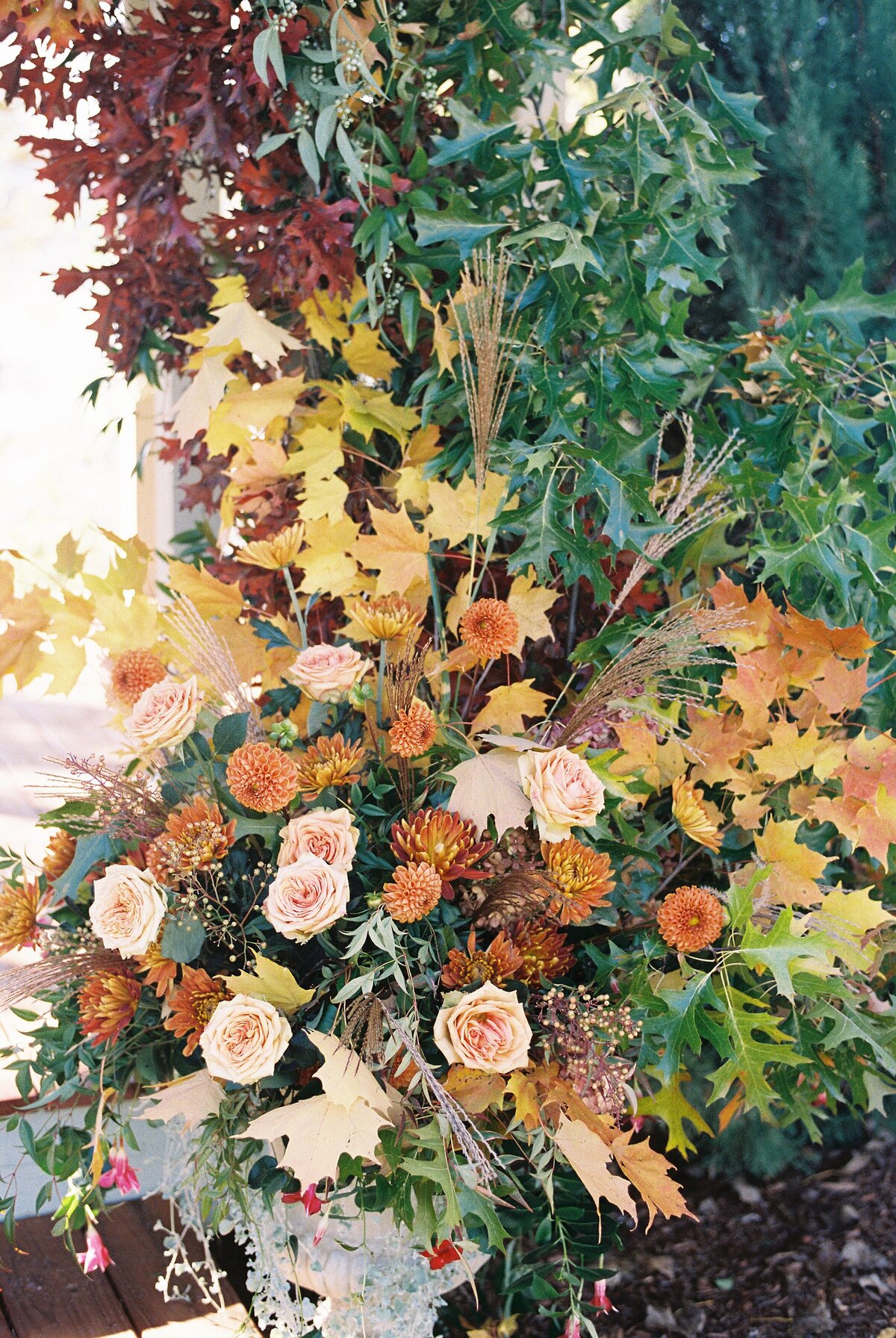 david_numan_vermont_Wedding_015