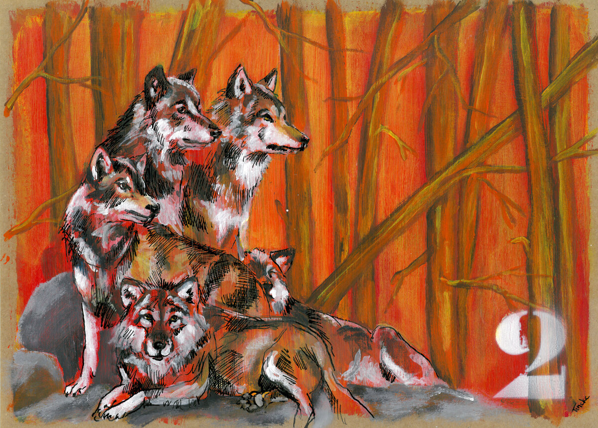 2 wolf