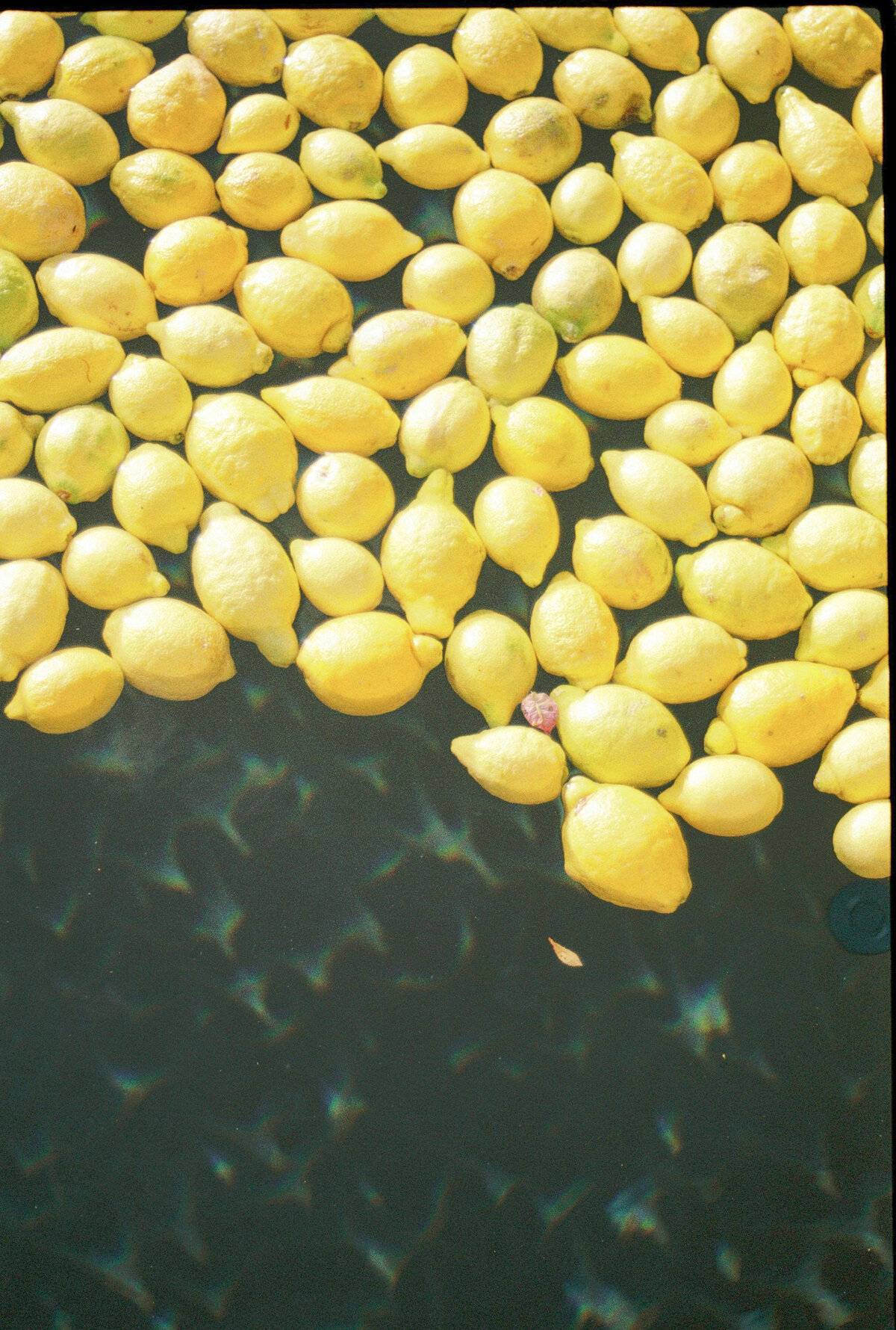 Film-wedding-photography-spain301