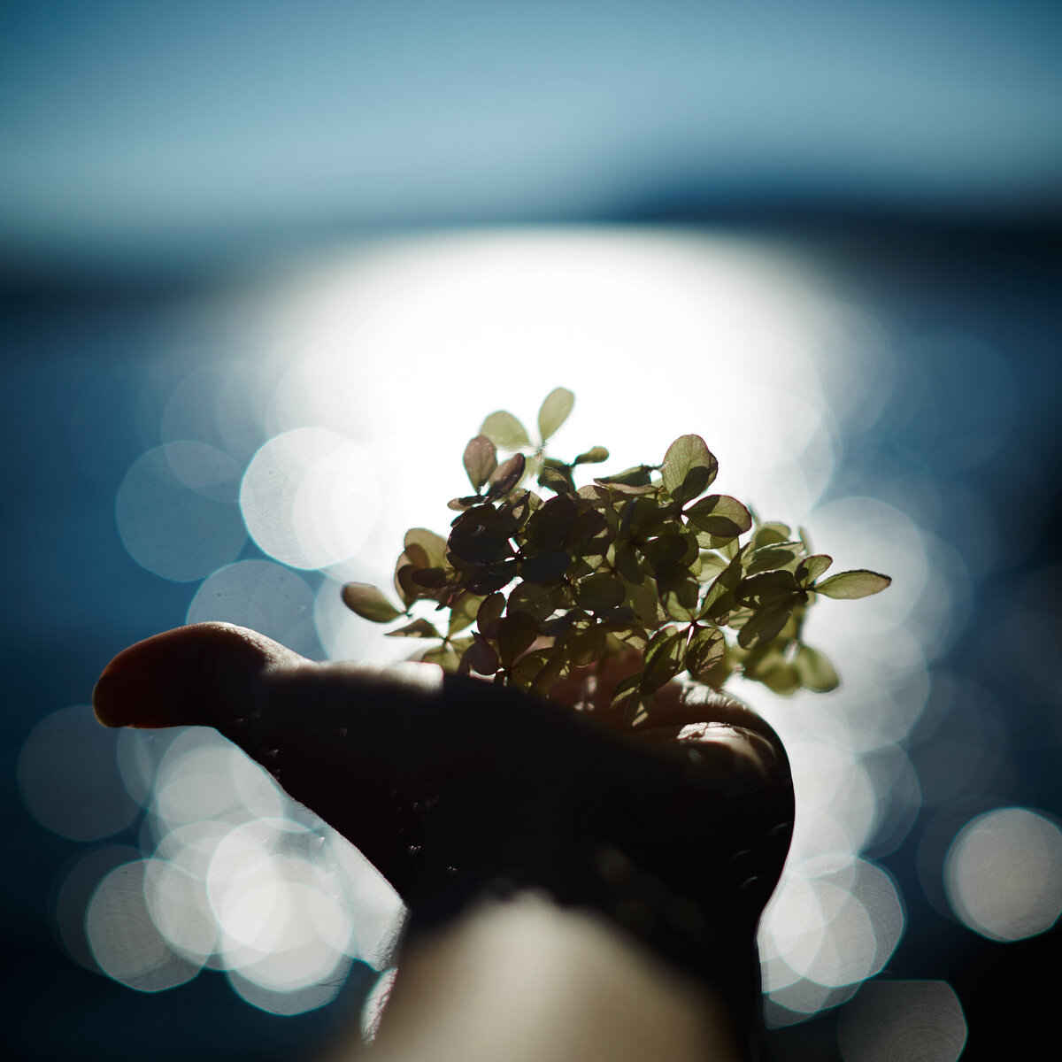 20151006___MG_6209