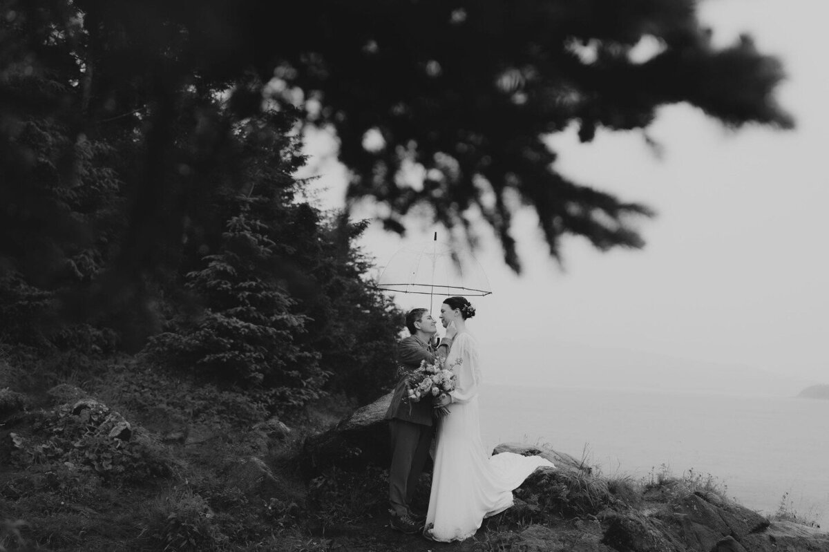 elope-in-minnesota-100