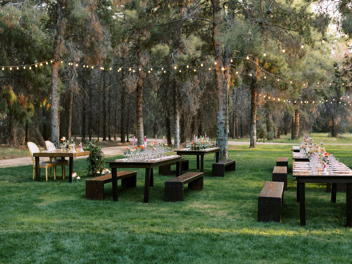 034_Sara_Bishop_Spring_Meadows_Schnepf_Farms_March 05_ 2024