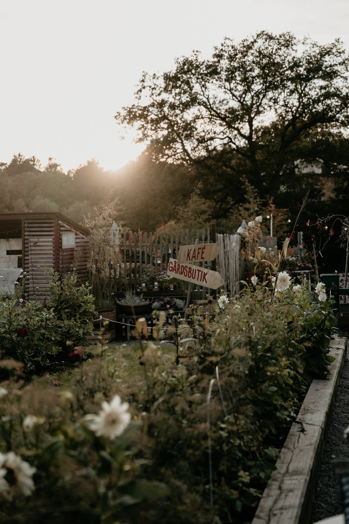 ElinJoakim-12okt2024-553