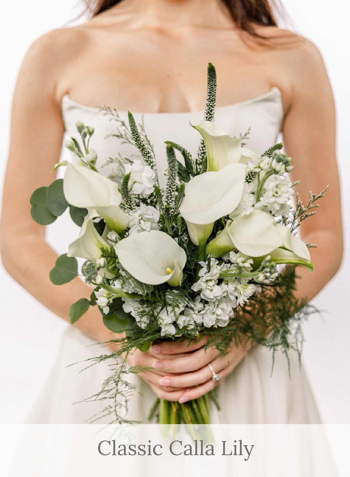 Classic Calla Lily