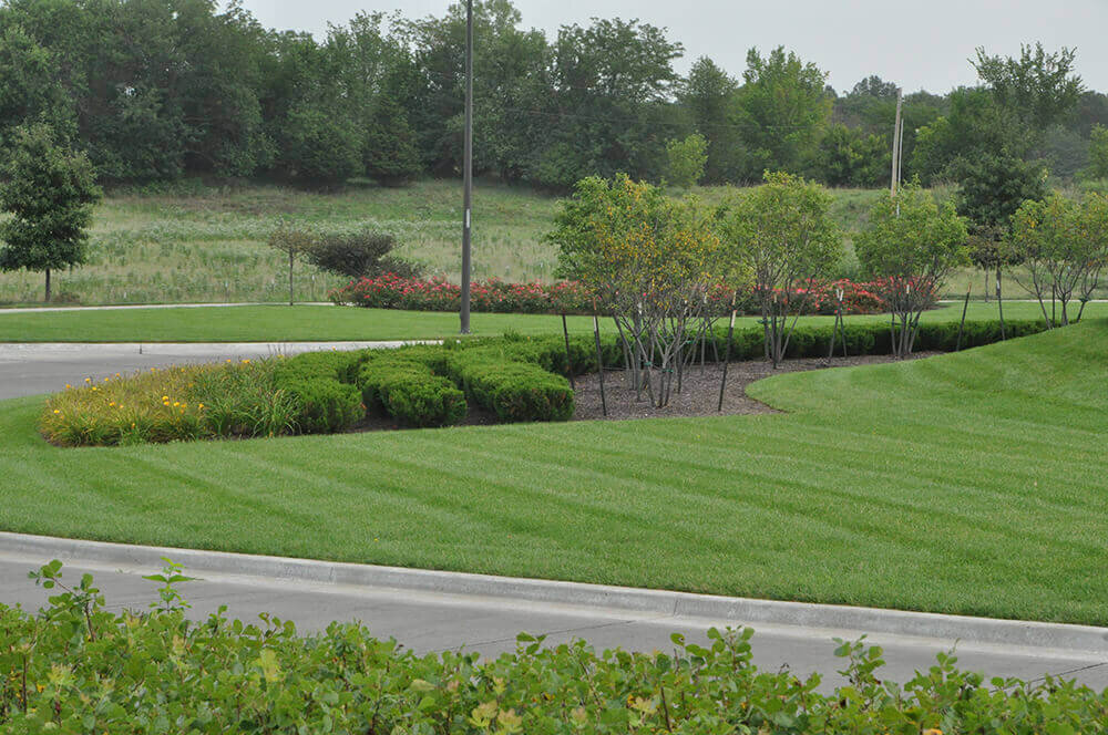 Commercial landscape company project in Kansas City