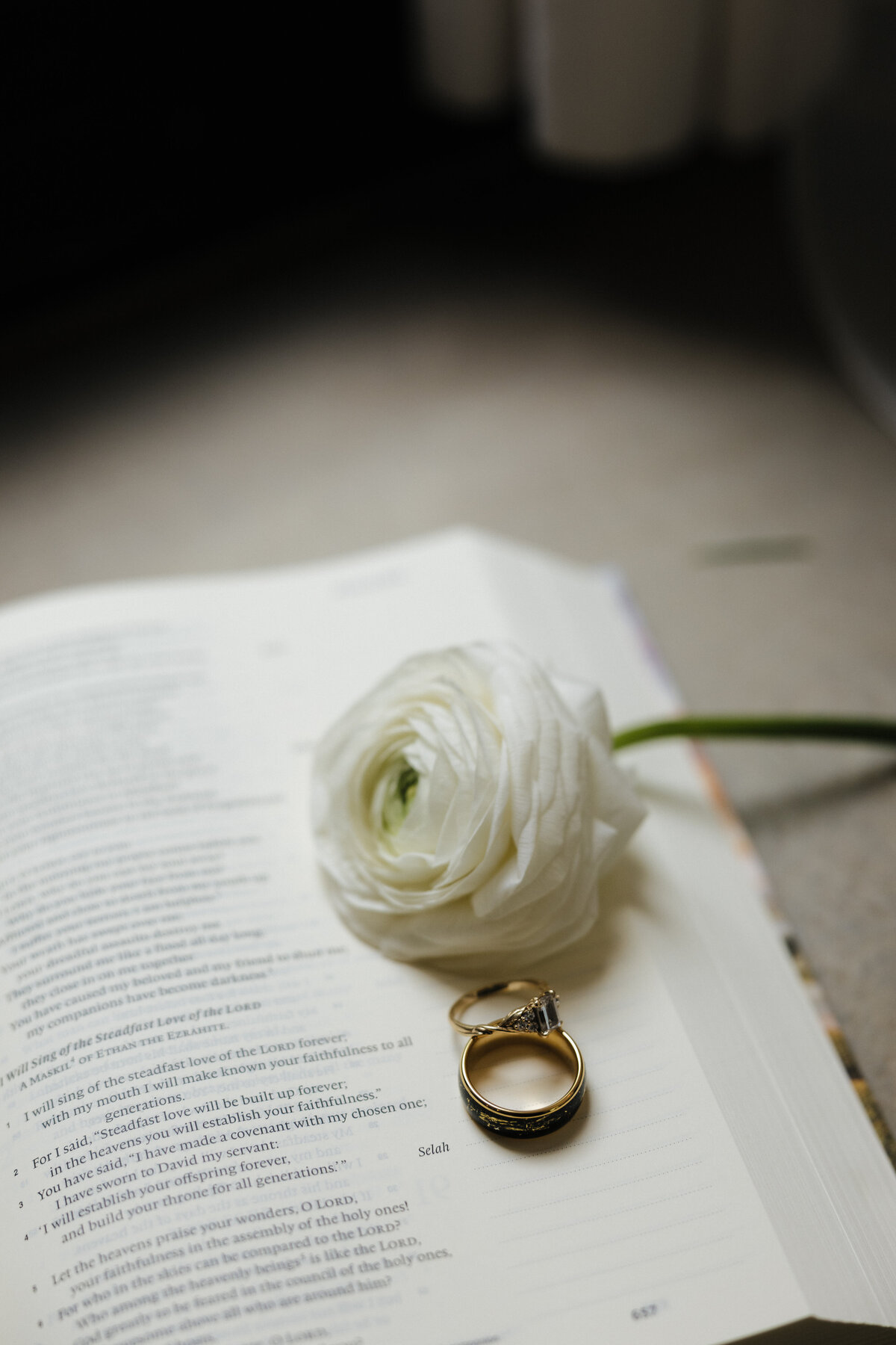Romantic wedding photography