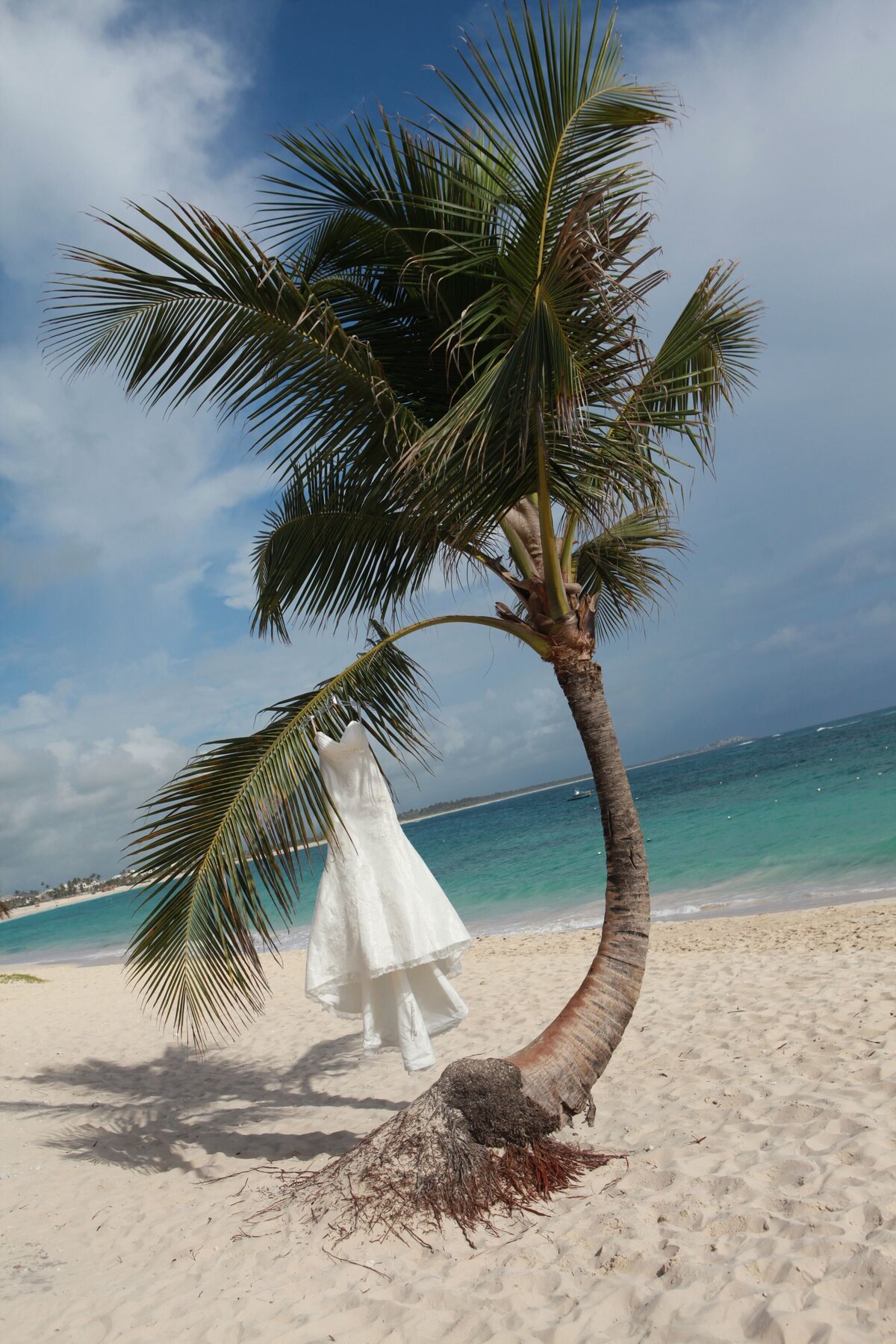 A wedding dress elegantly drapes from a palm tree branch, set against a tropical backdrop. This image beautifully captures the unique and exotic essence of destination weddings, highlighting the blend of natural beauty and bridal elegance in stunning coastal locations.