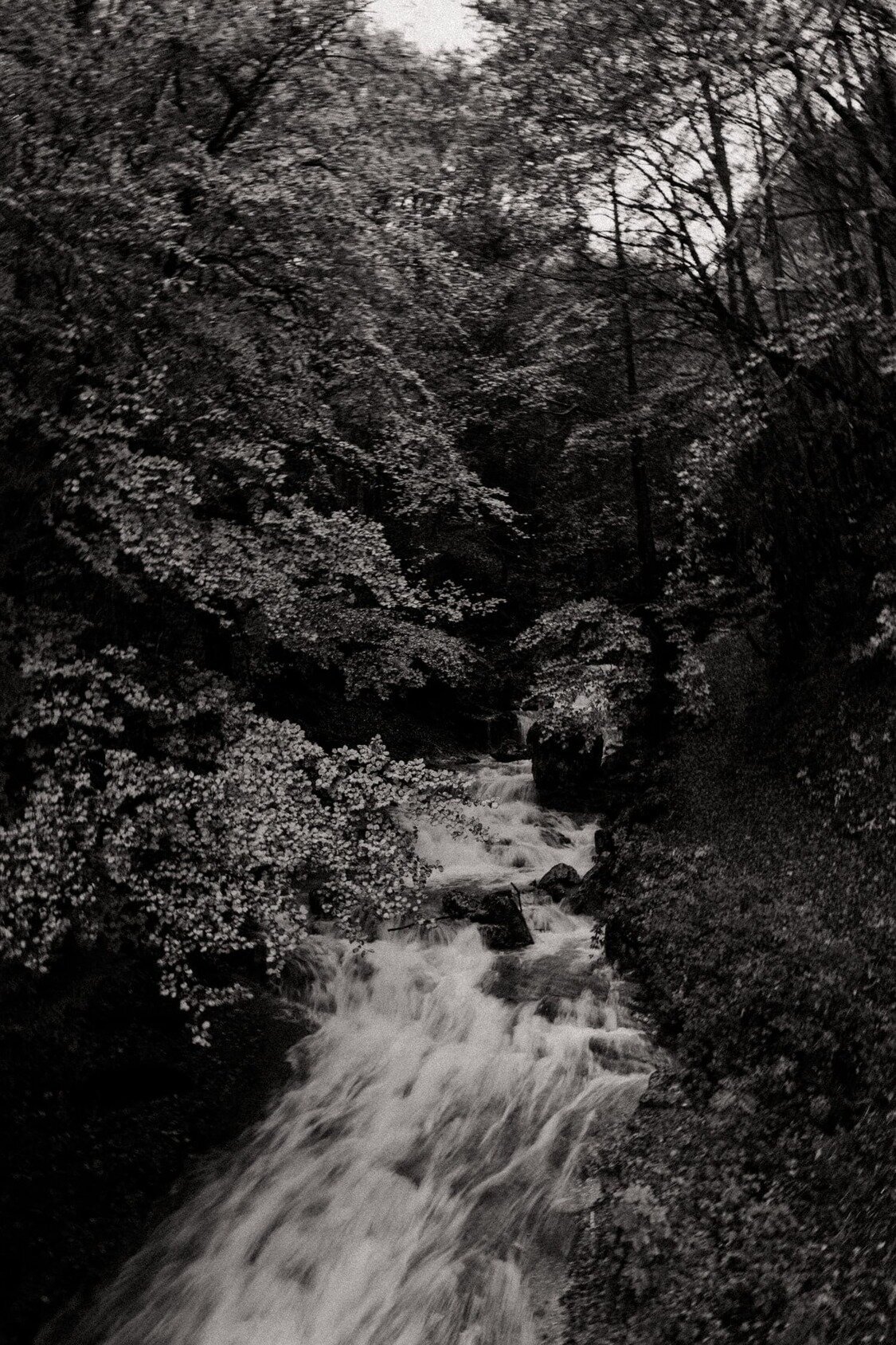 photographe-mariage-beaujolais-detail12