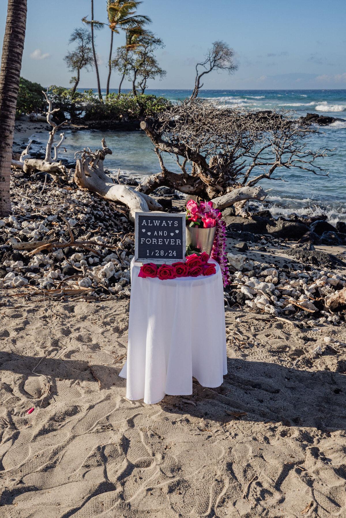 Hawaii-Proposal-Big-Island-Engagement (3)
