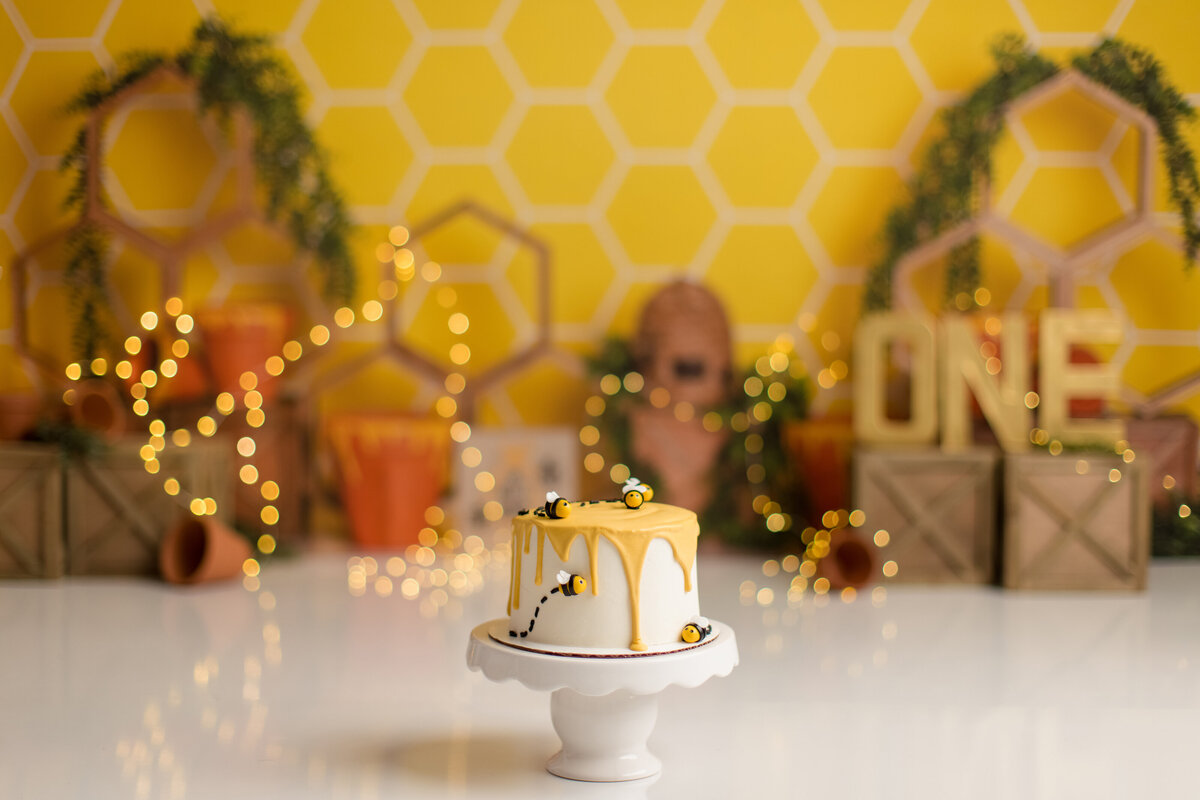 Huntsville AL Best Cake Smash First Birthday Photographer Studio Bee