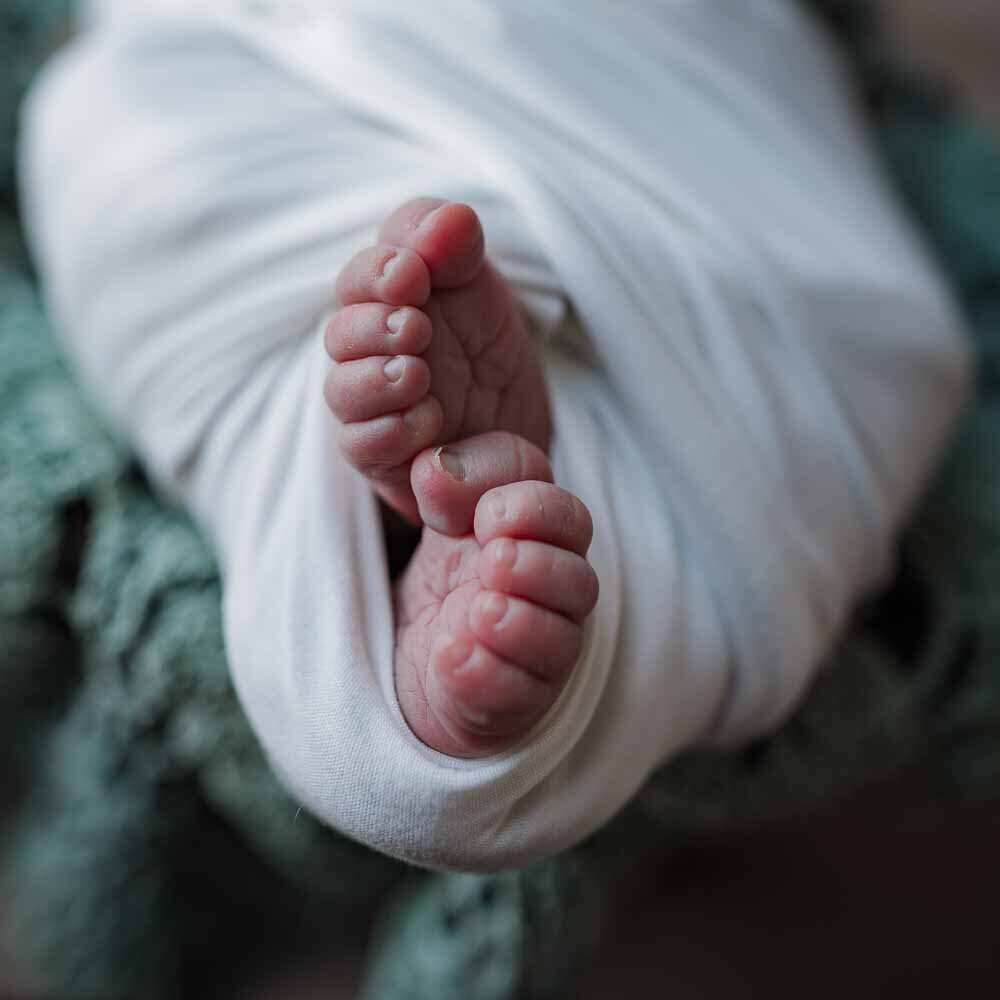 Elizabeth Priniski Madison Newborn Photographer Skylar-8