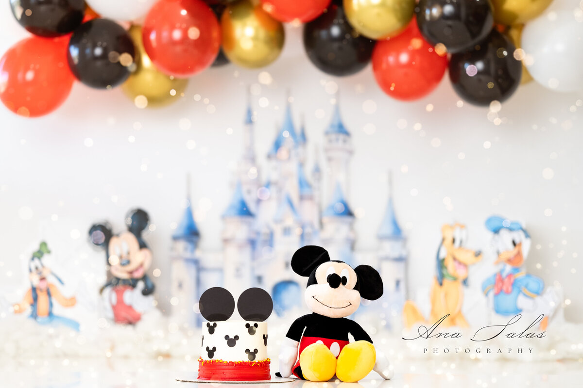 Mickey Disney Cake Smash Photographer Edmonton