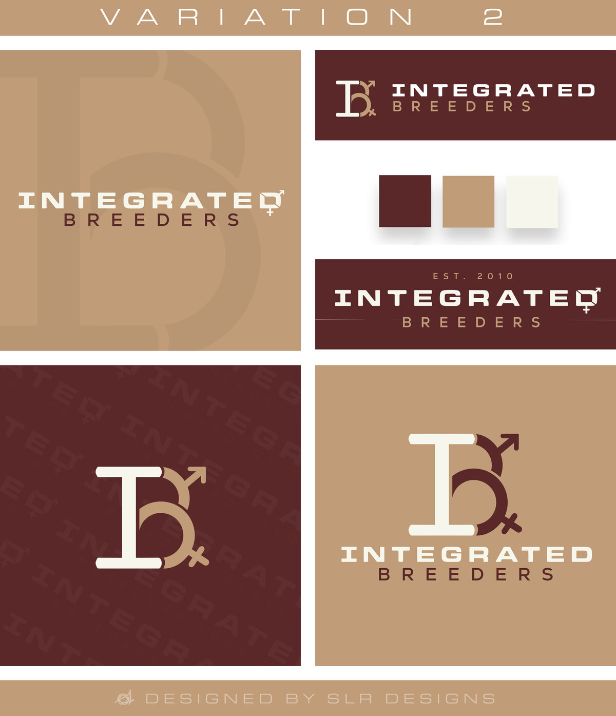 Logo_V1IBS(F7)