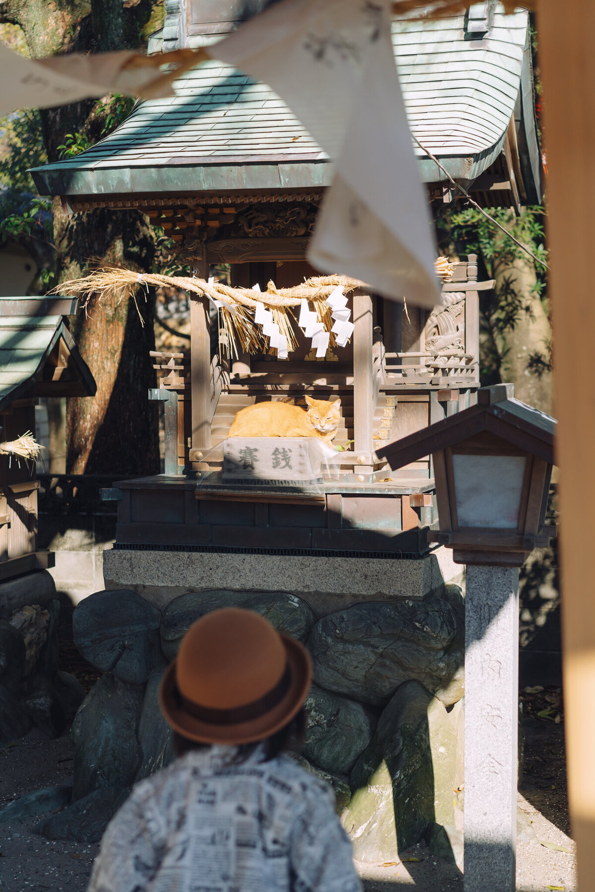 aichi-toyohashi-753-photographer-177