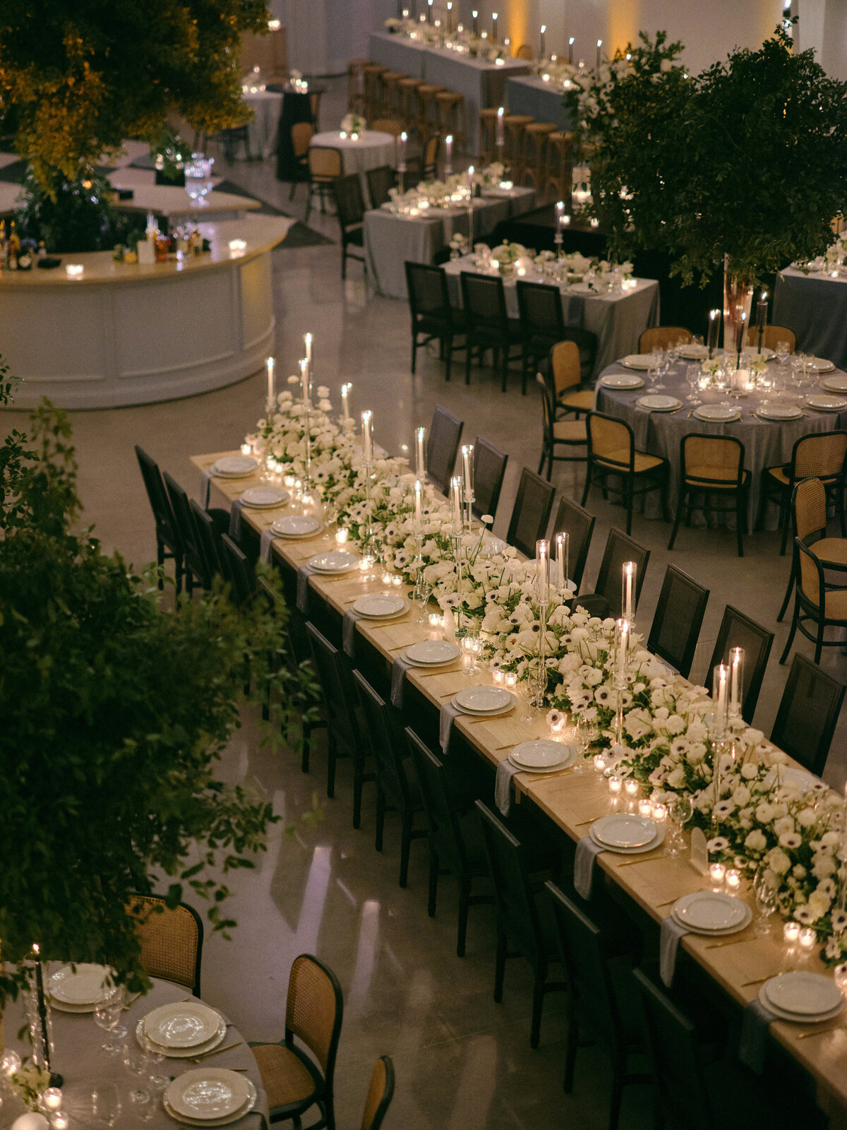 231202CAMEDD_adv0199