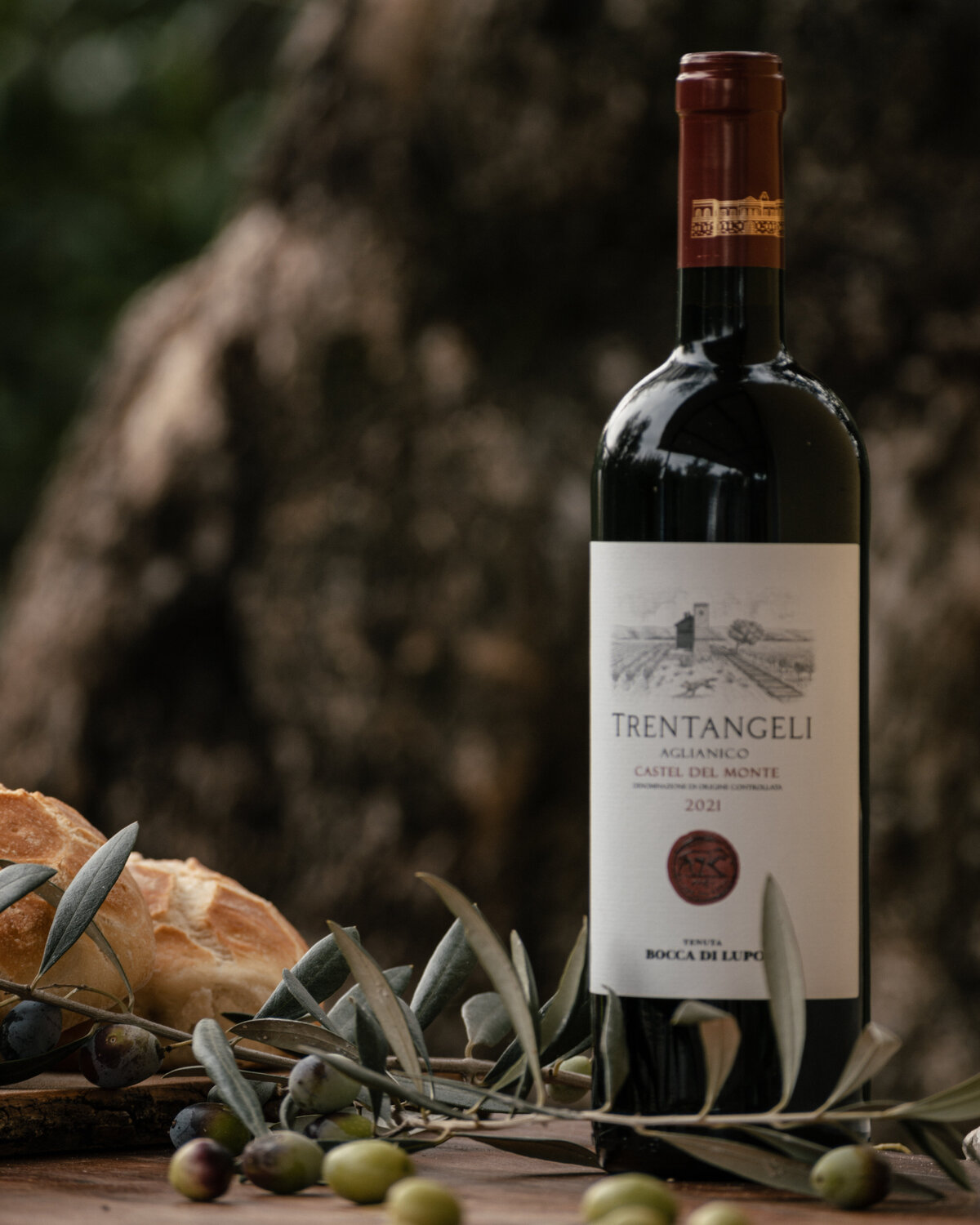 24Nov2025_BoccaDiLupo-130