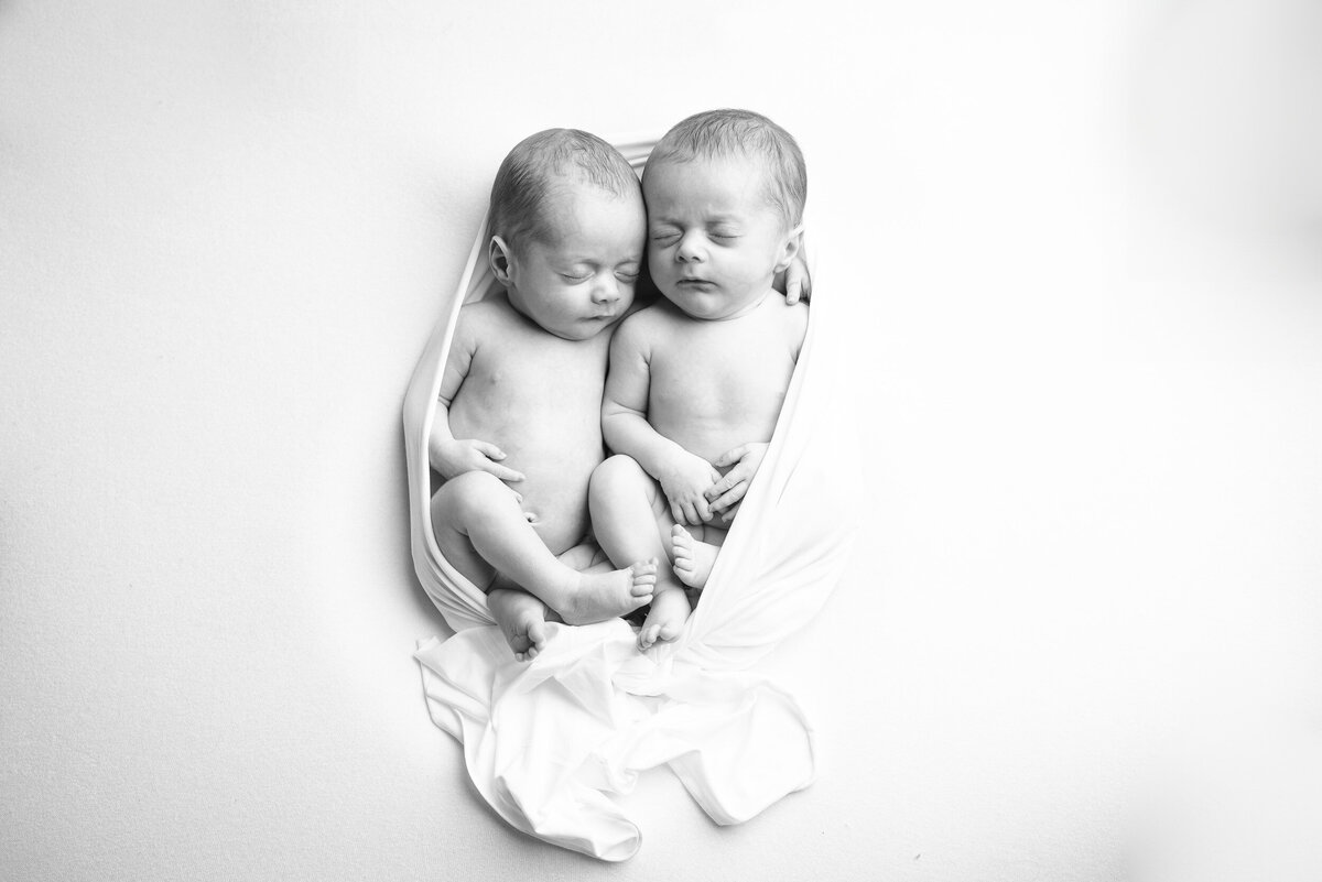 black-white-twin-newborn-session