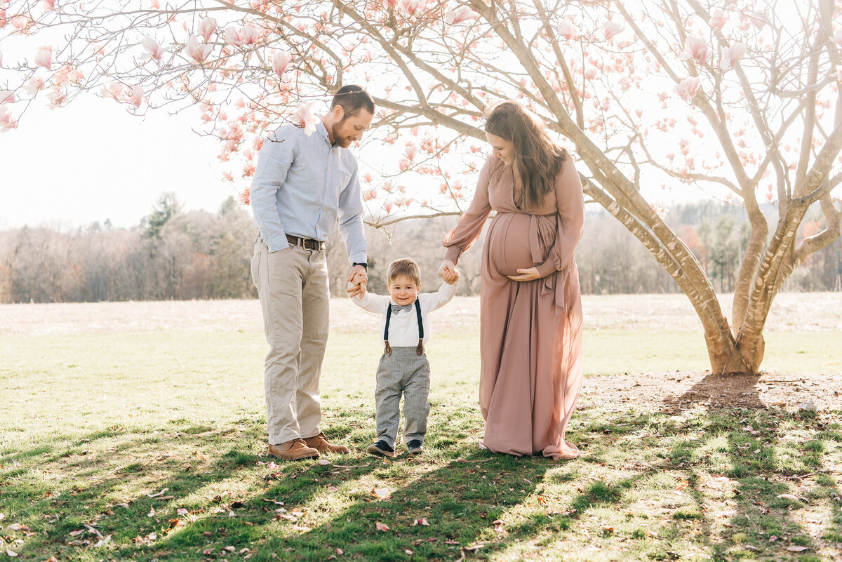 Expecting mother and father swinging young son by flowering tree