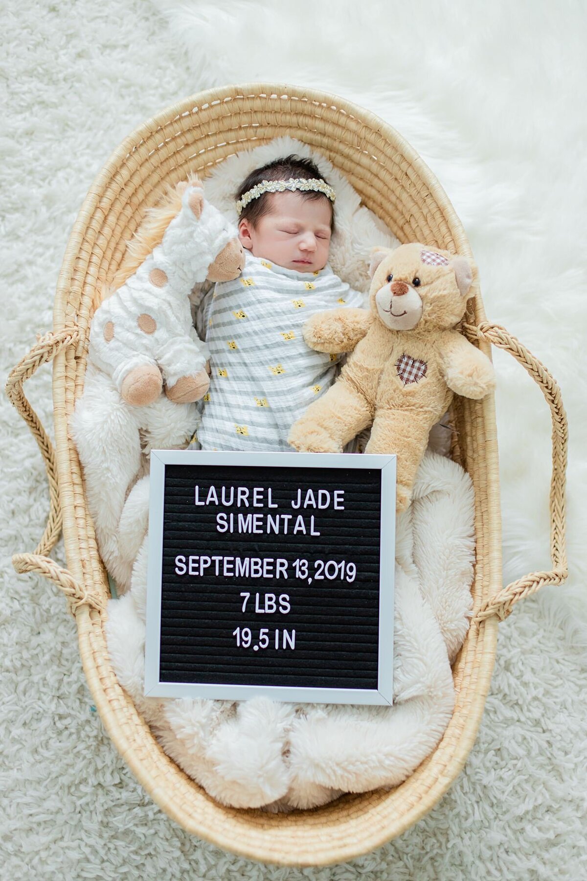 newborn baby with her stuffed animals in a basket