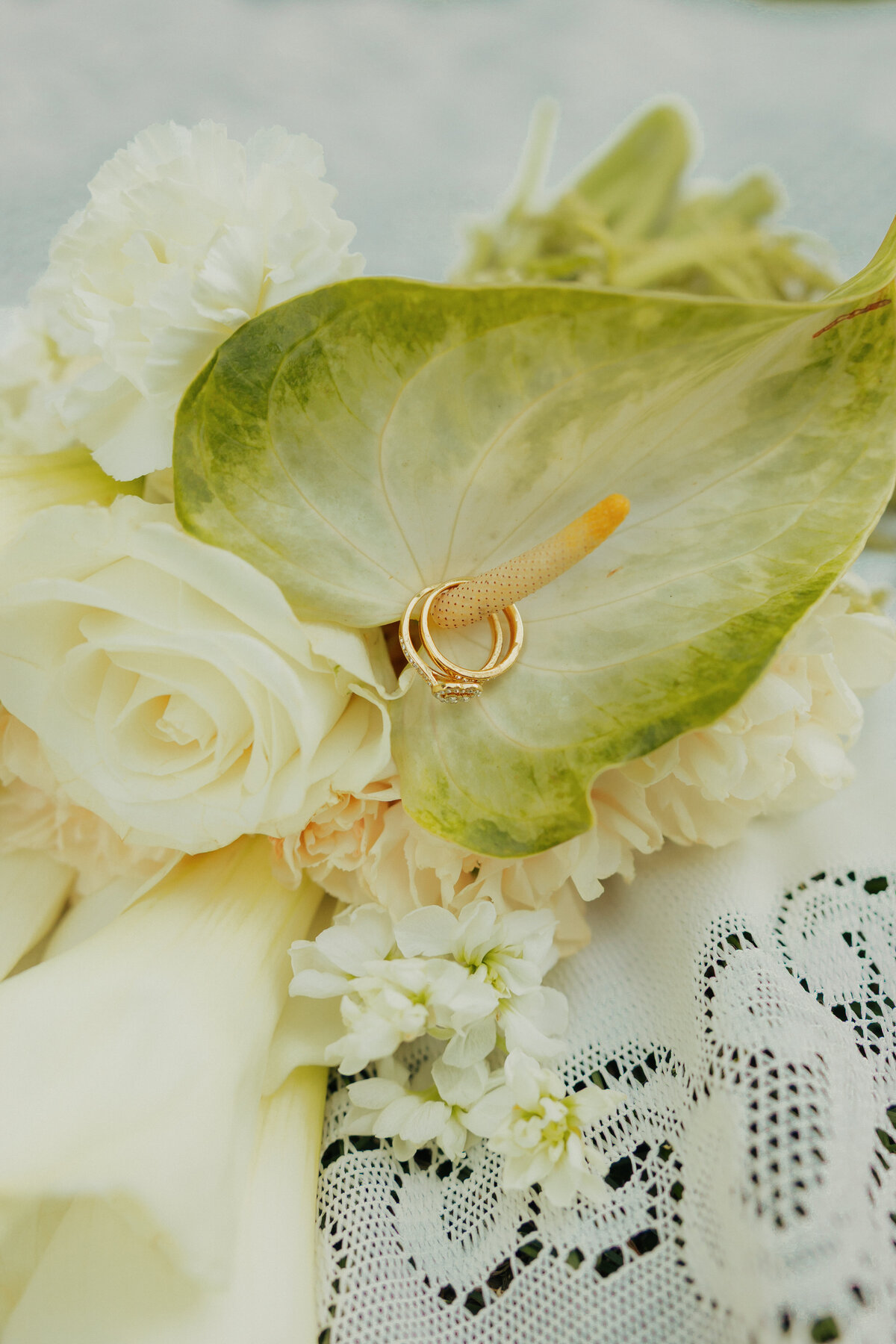 ellie hof photography-- j+k-219