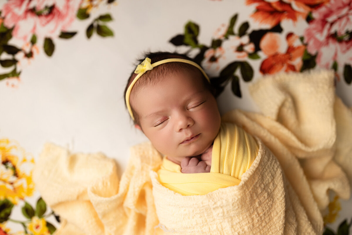 NW Arkansas newborn photographer, newborn photography near me, newborn portraits in NW Arkansas