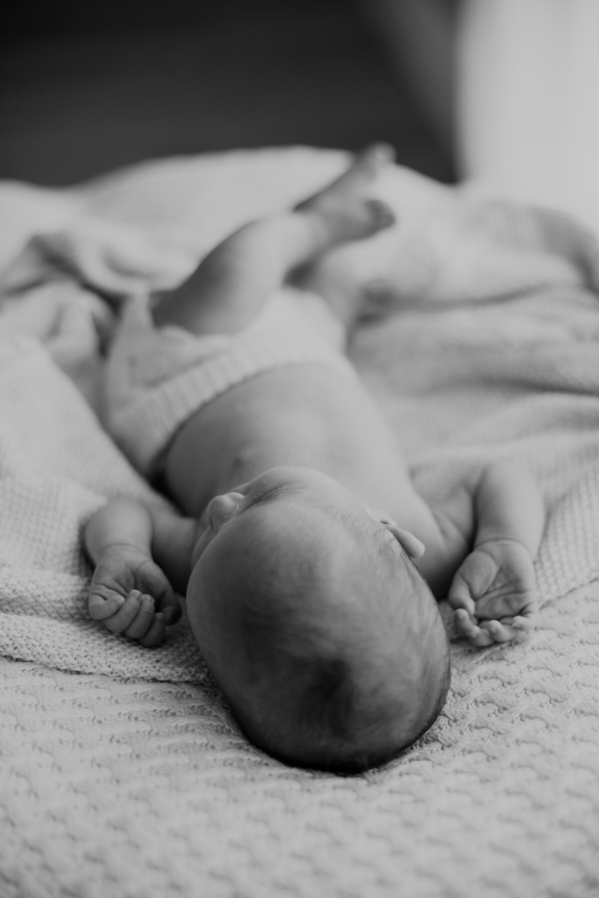 lauren-gray-sydney-newborn-photographer-240319-0051