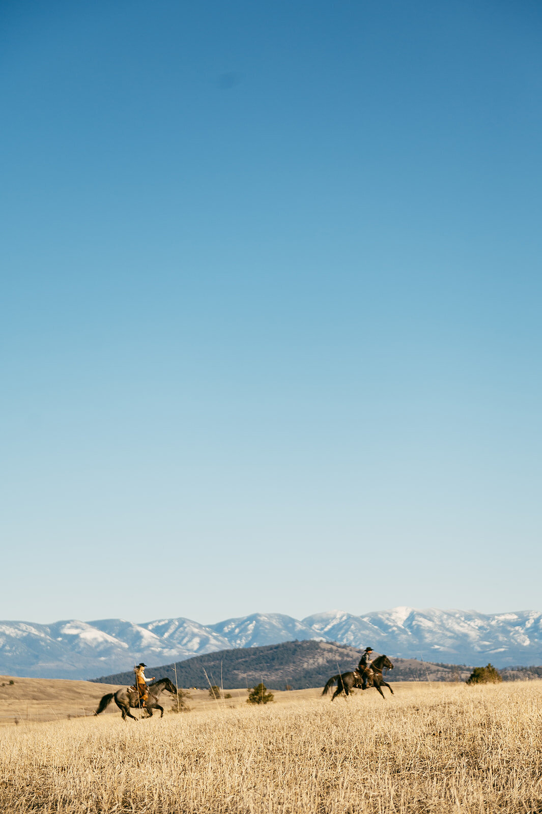 presley-gray-photo-montana-western-ranch-couples-photoshoot-1620
