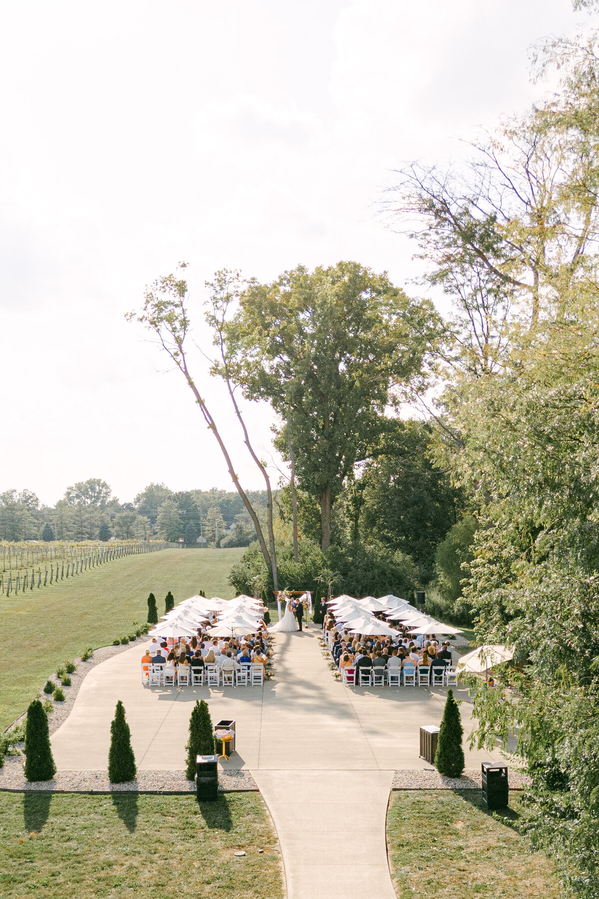 Amanda and Jack Daniels Vineyard Wedding Alison Mae PhotographyDJI_20240824174729_0048_D_AMP