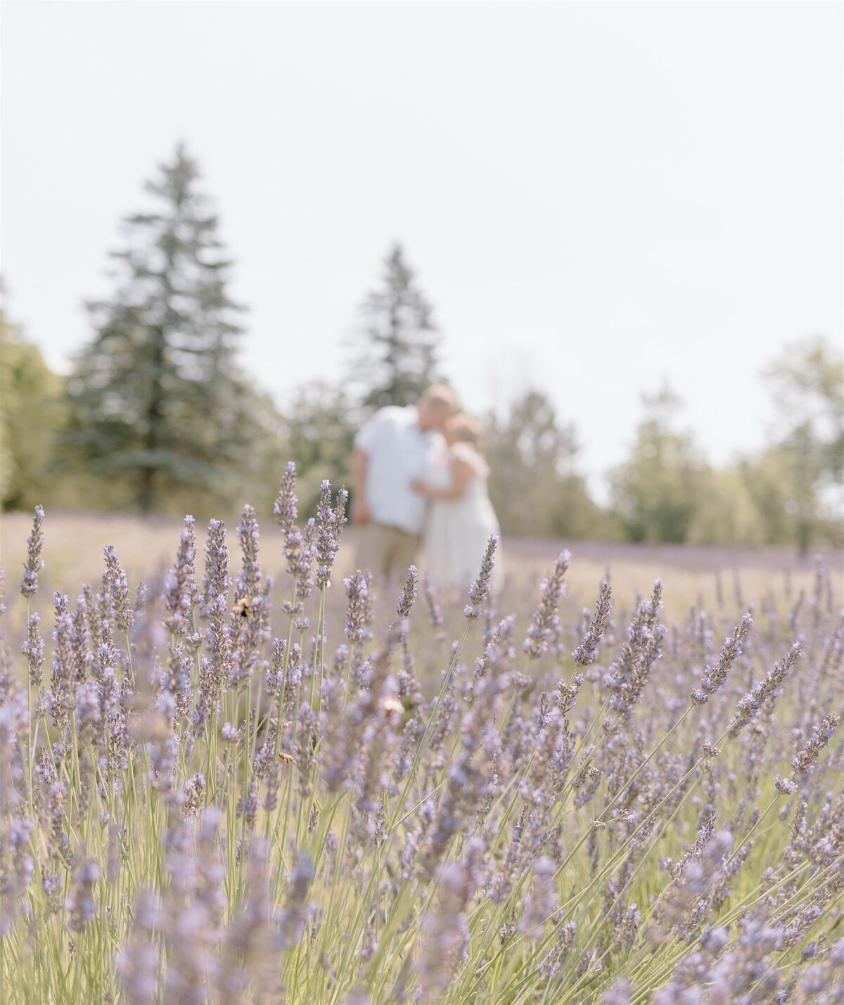 Taylor_Nick_Lavender-23