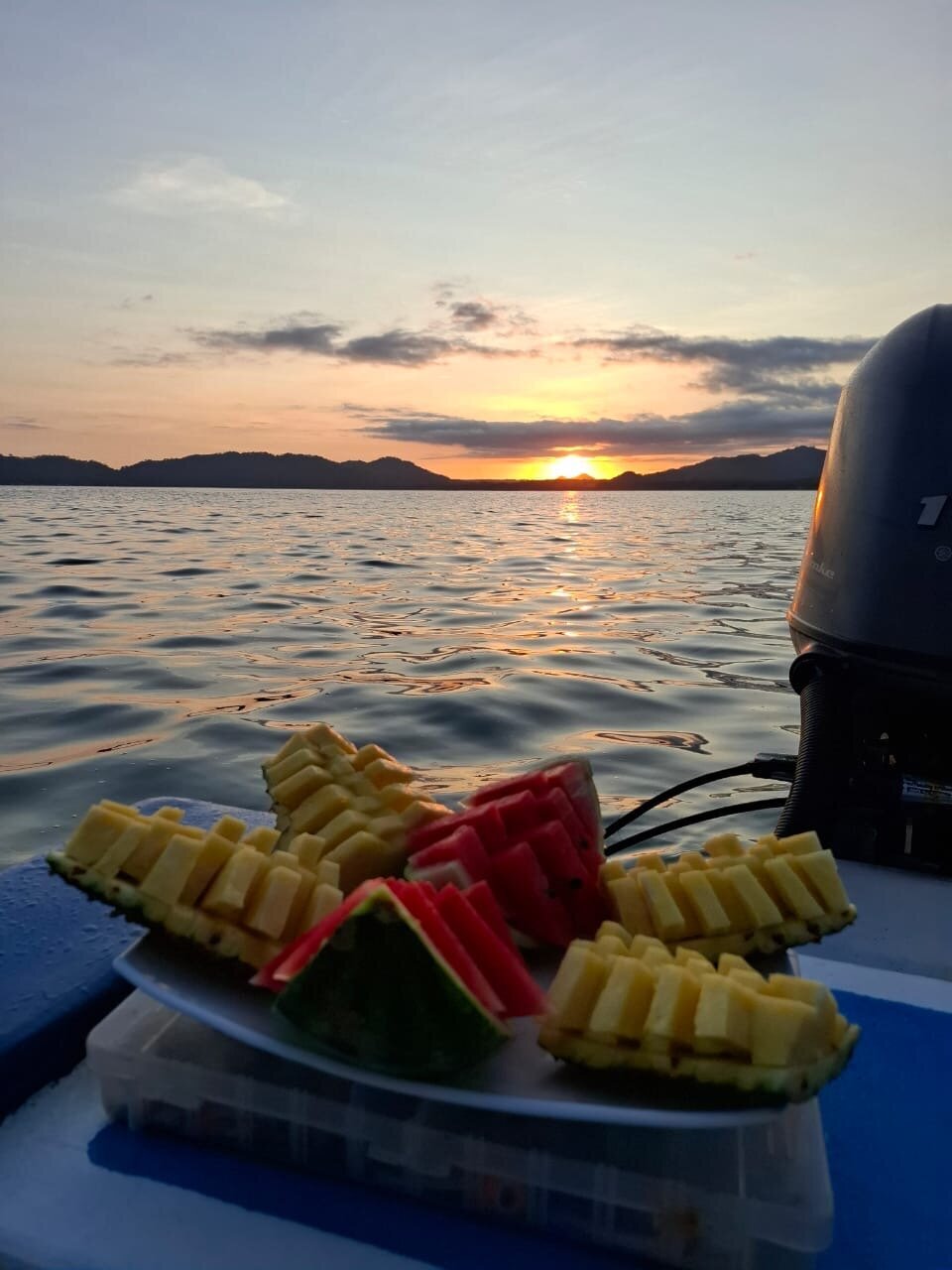 e163e8b1-2d17-458c-9ac4-0b81b547067a