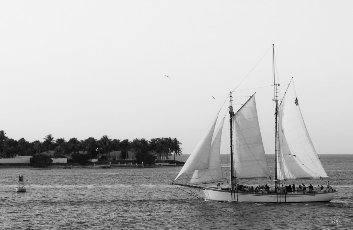 RGEORGE_FLKeys2014_0058-2