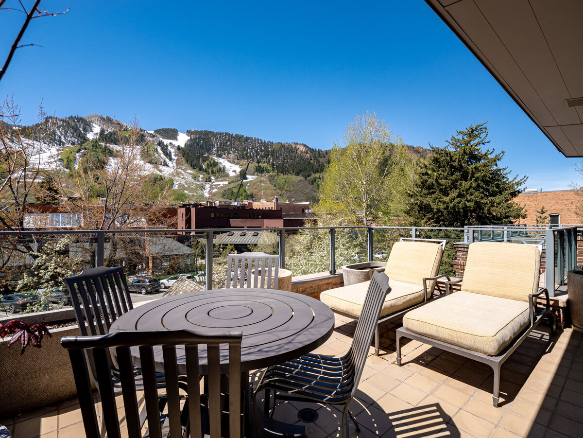 MLS - 532 E Hopkins Ave - Aspen, CO-24