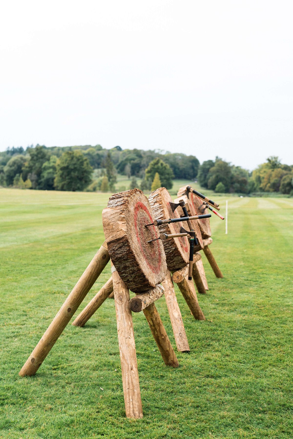 axe throwing butts with axes stuck in them in the grounds of avington park for a birthday party activity