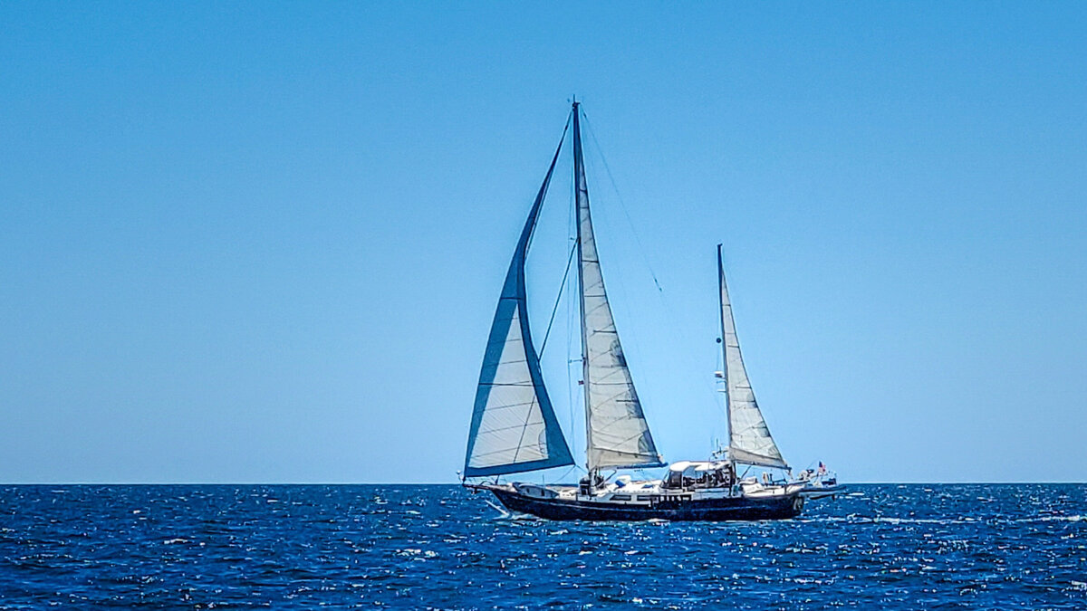 Blue Pearl_069