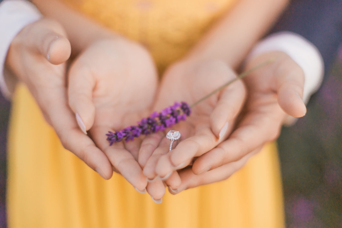 300618Samuel-and-Lu-Lavender-Field-Proposal0141